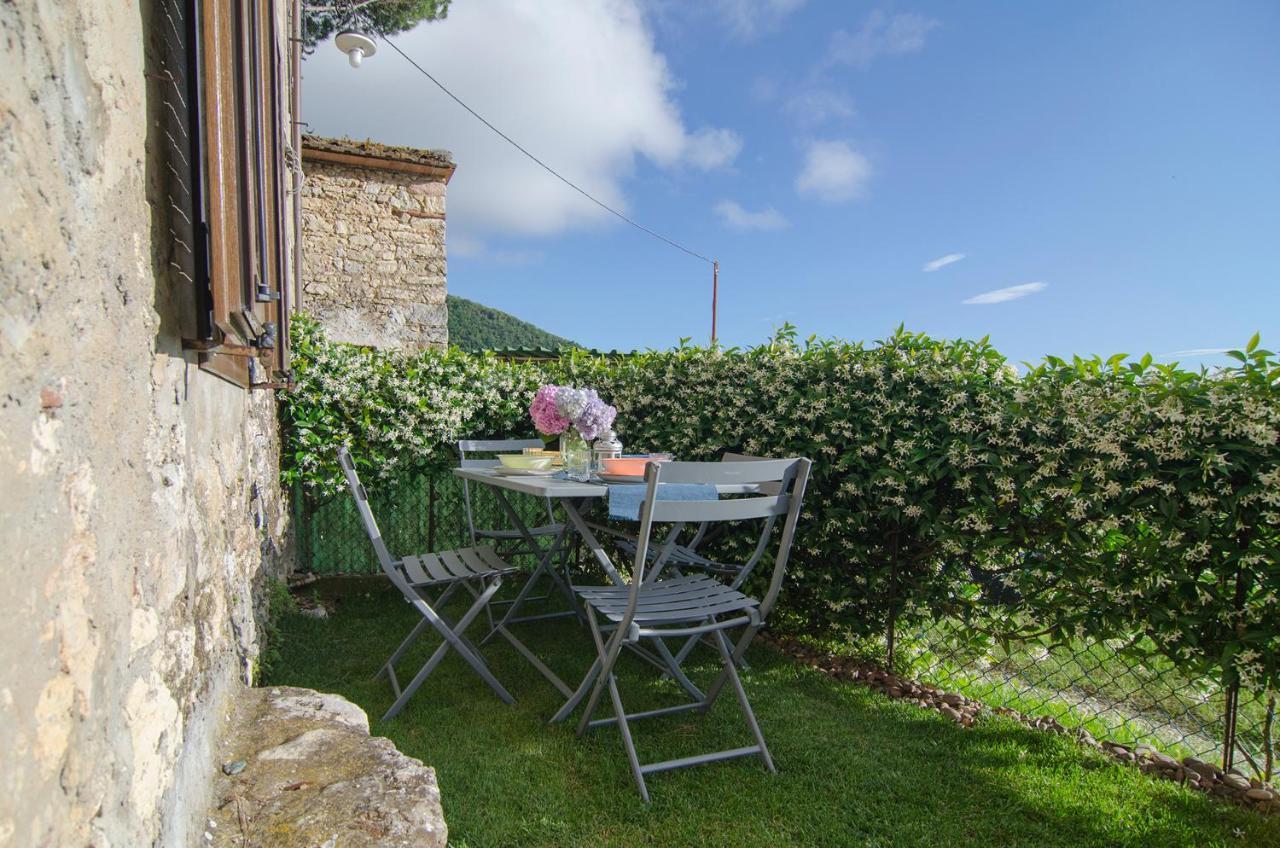 Casa Gelsomino Villa Camaiore Exterior photo